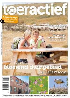 Toeractief 2019-03