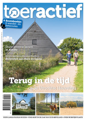 Toeractief 2019-05