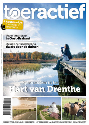 Toeractief 2019-06