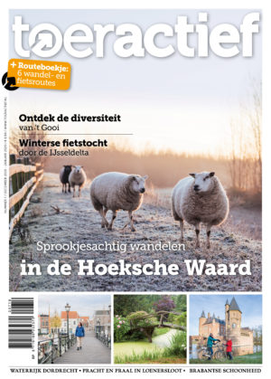 Toeractief 2019-07