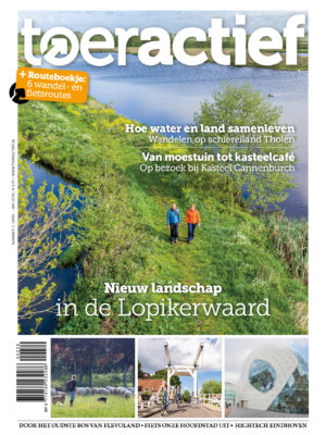 Toeractief 2020-02