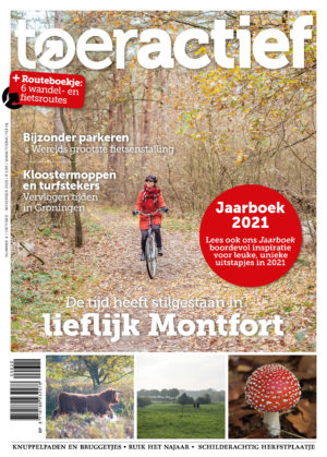 Toeractief 2020-06